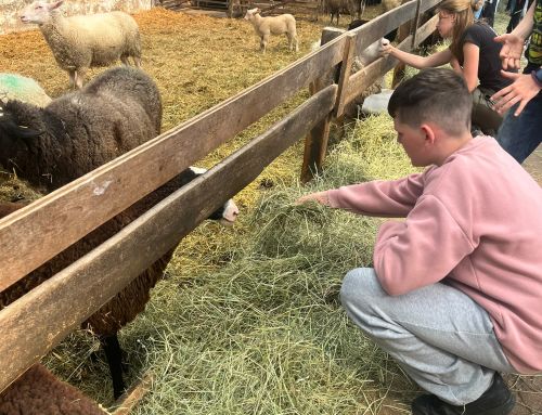 Auftakt des Bauernhofprojekts im 5. Jahrgang